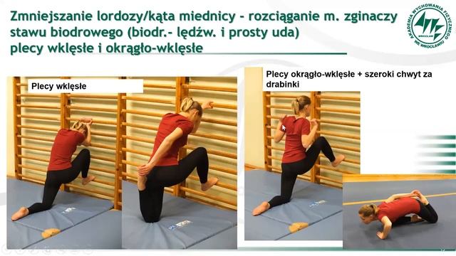 TROCHĘ WIEDZY NIE ZASZKODZI - wykład prof. AWF Wrocław Małgorzaty Sobery смотреть онлайн