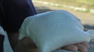 Убираем клевер с газона