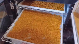 Подробный обзор как сделать порошок куркумы из корней этого растения.