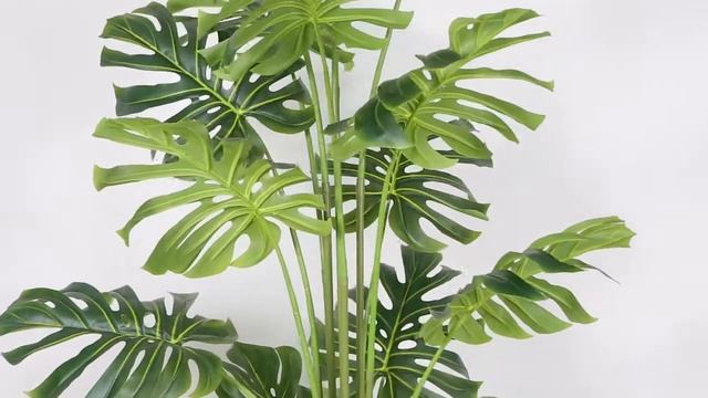 RITA - Monstera - Artificial Potted Plant смотреть онлайн