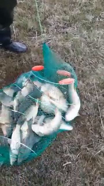 Рыбалка ГЭС 03 04 2021ж смотреть онлайн