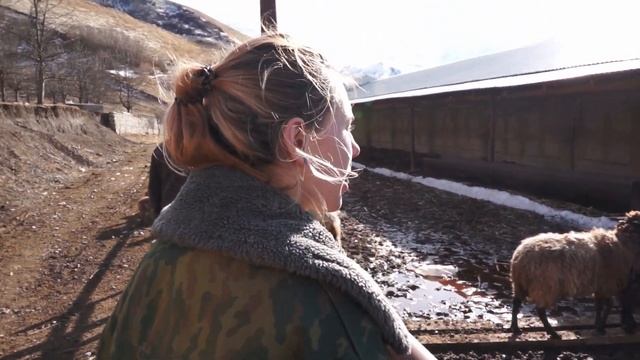 Наши друзья в гостях на первой базе в Северной Осетии. Катя и Дима кормят овец. 2021.03.20 смотреть онлайн