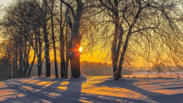 🎼. «La découverte» - Laurent Eyquem смотреть онлайн