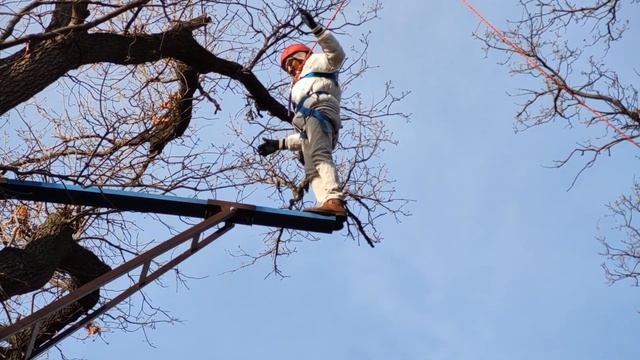 "Белый ветер". Свободное падение. смотреть онлайн