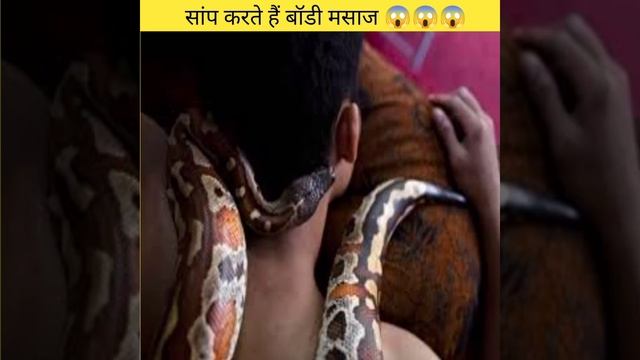 snake karte hain body masaj.#shorts смотреть онлайн