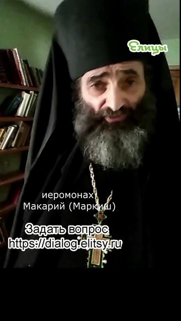 Мудрость частичная и полная на примере Аристотеля. Иеромонах Макарий (Маркиш) #shorts смотреть онлайн