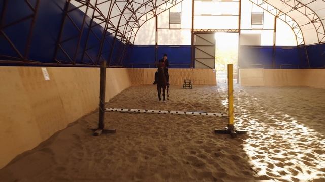 Виды АНО "РЦ "Иппотерапия" №3 смотреть онлайн