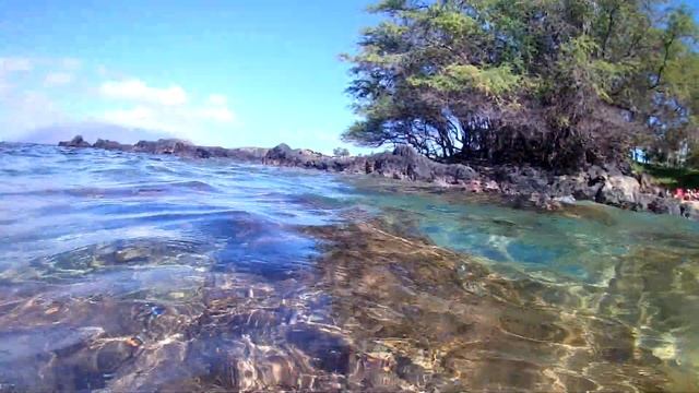 Convict Tangs, Blackspot Sergeant - Ulua 11.24.19 смотреть онлайн