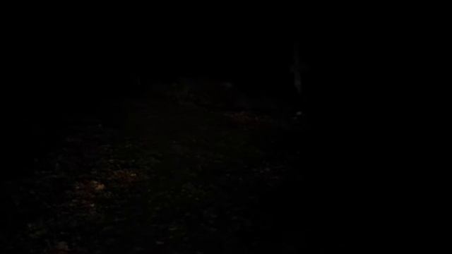 Cree led lightbar on yamaha grizzly 700 November 18, 2016 смотреть онлайн