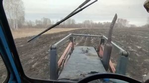 Нужен ли лес на поле? #39 Осенняя работа с полем