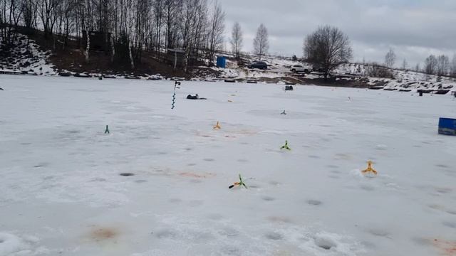 20-01-2025 смотреть онлайн