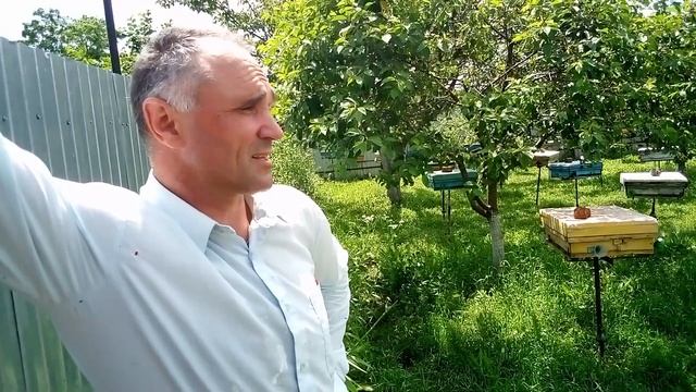 забираю ИО-шек карпатки от Олега Хмелева смотреть онлайн