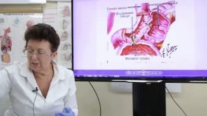 Цистит. Причины и методы восстановления. [Шишова О.И.]