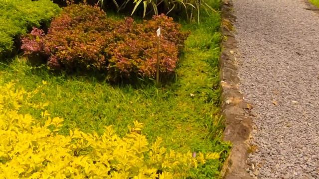 Domaine des Aubineaux Tour смотреть онлайн