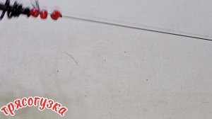 Ты всегда поймаешь Сазана Карася Леща!