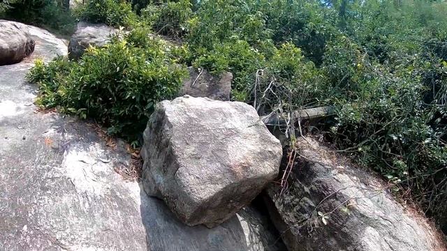 Вокруг Шри Ланки за рулём тук тука Часть 5 Крокодилы Панамы смотреть онлайн