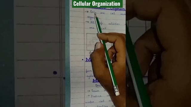 cellular organization #youtube#shortsvideo @ScienceStudyHub смотреть онлайн