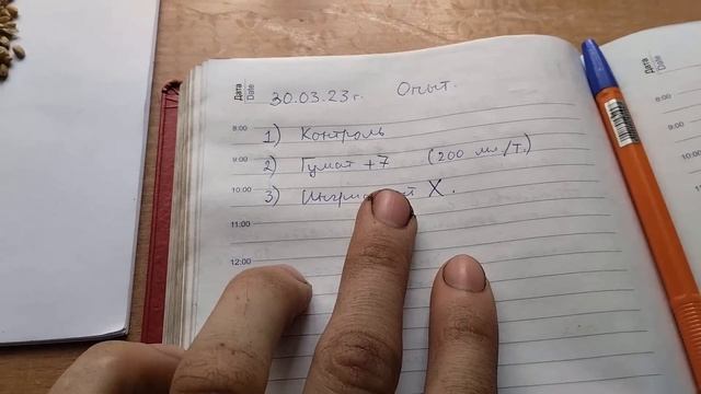 Нужен ли ГУМАТ? Опыт на семенах - анонс #10 смотреть онлайн