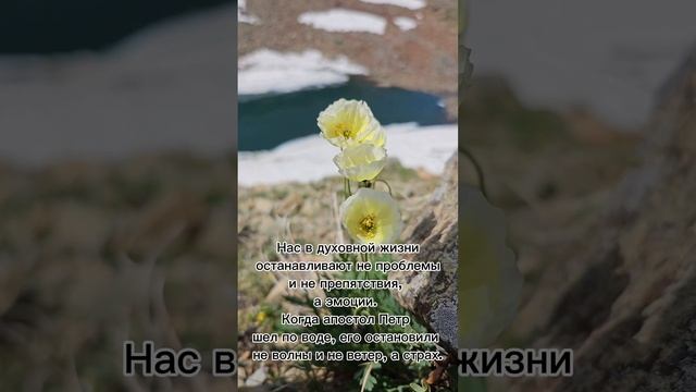Нас в духовной жизни останавливают не проблемы и не препятствия смотреть онлайн