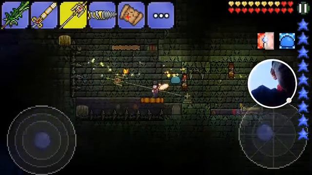 Terraria и бородач смотреть онлайн