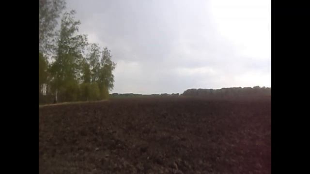 Отсев 25 мая. смотреть онлайн