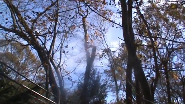 bump in a tree nov 2012 hurricane sandy long island new york смотреть онлайн
