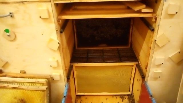 Ганемановская решетка в пчелопавильоне смотреть онлайн