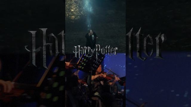 Гарри Поттер и Дары Смерти | Imperial Orchestra смотреть онлайн