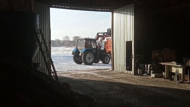 Отгрузка зерна, закрываем долги перед НГ. №47 смотреть онлайн