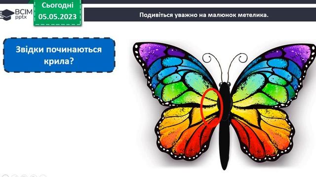 Образотворче мистецтво 1 клас Особливості форми метелика смотреть онлайн