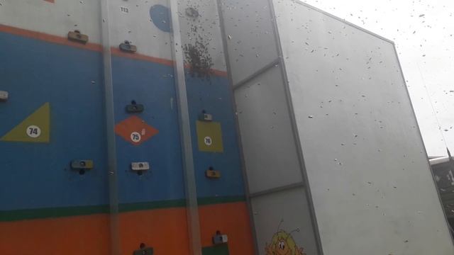 рой заходит в павильон смотреть онлайн