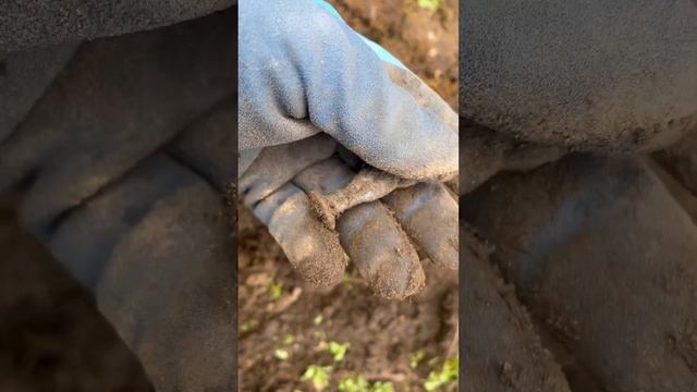 Находка СОЛДАТ смотреть онлайн