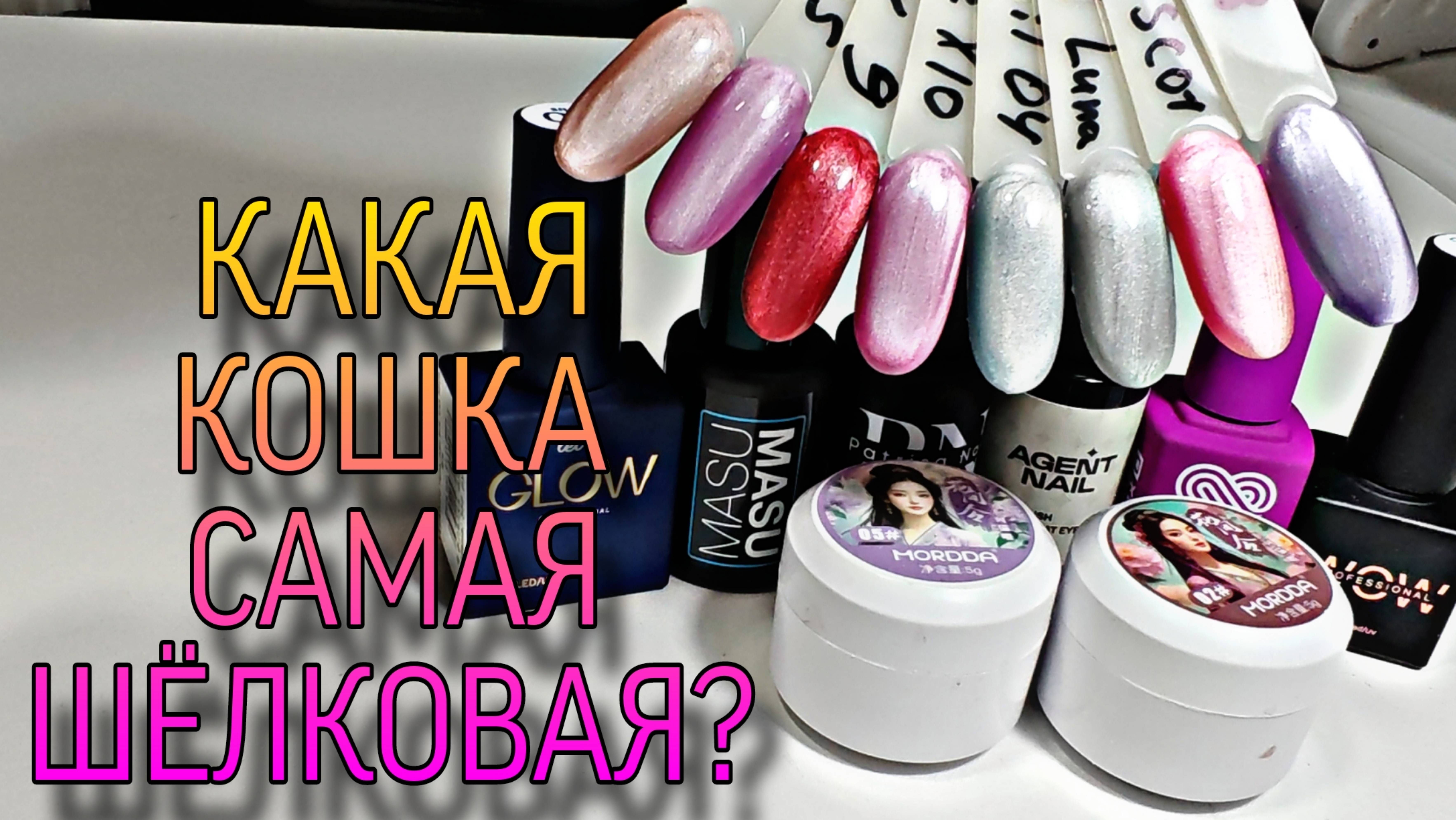 Какая шёлковая кошка самая шёлковая? смотреть онлайн