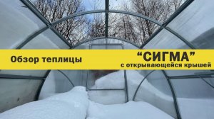 Теплица "СИГМА с открывающейся крышей" от компании Воля.