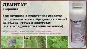 Демитан - средство от галлового клеща груши, а также паутинных клещей на яблоне и винограде. Обзор