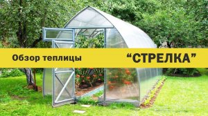 Теплица "Дачная СТРЕЛКА" от компании ВОЛЯ.