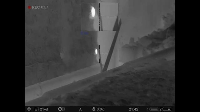 Ratting Thermal Style with the Pulsar Thermion 2 XG50 LRF смотреть онлайн