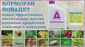 Корморан и Новацет - новые эффективные средства от основных вредителей плодовых и винограда. Обзор