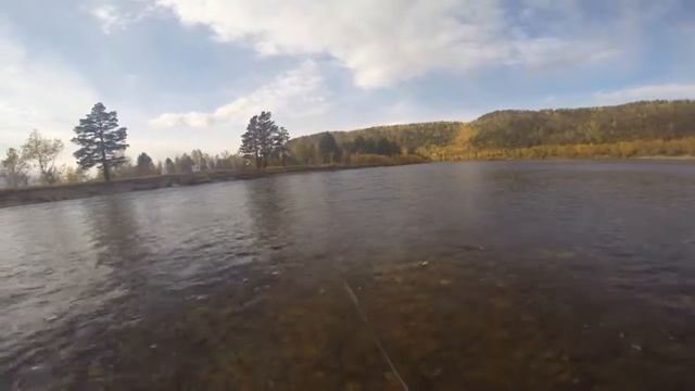 Хариус смотреть онлайн