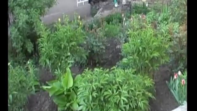 Подготовка фундамента к прокладыванию коммуникаций. Чаша поилка Часть3 смотреть онлайн