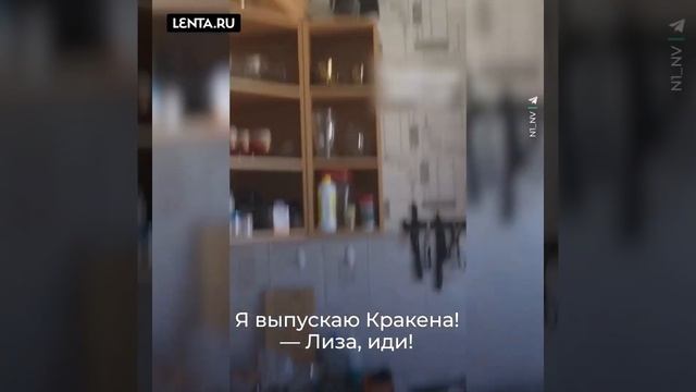 Пернатые крысы захватили квартиру в Нижневартовске. смотреть онлайн