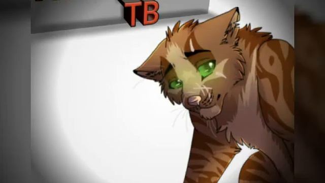 Кто будет парой? смотреть онлайн