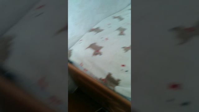 експедицыя в Ohio смотреть онлайн
