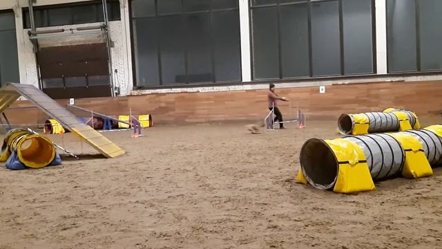 Лагерь в Maxima Park 02.05.2021 смотреть онлайн