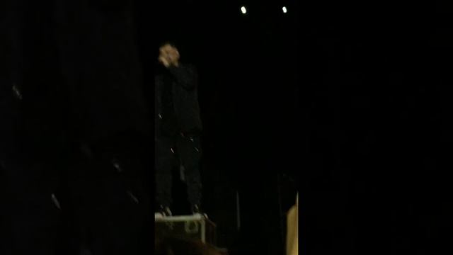 Забавные существа