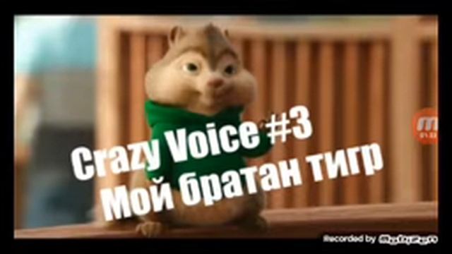 Мой братан тигр смотреть онлайн