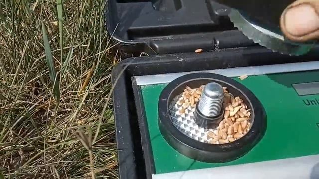 №37 Озимая пшеница. Первые дни уборки: СК-5М "Нива", Енисей 1200 НМ смотреть онлайн