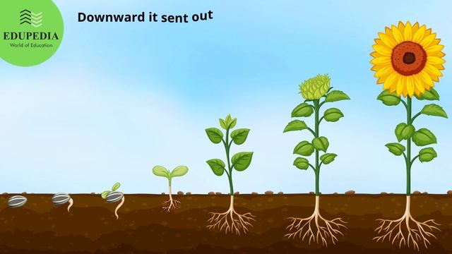 English Poem : "Little By Little" | Poem Recitation смотреть онлайн