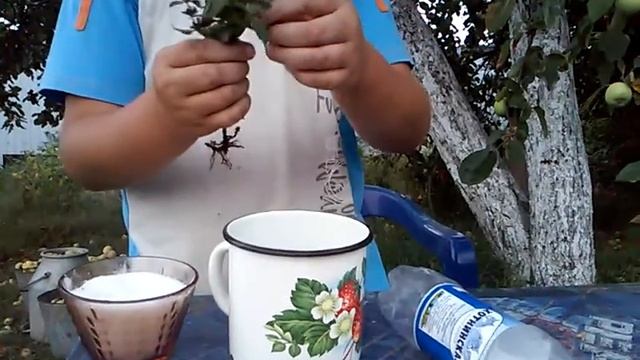 Как сделать лимонад смотреть онлайн