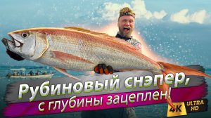 🇮🇩 Что можно поймать на Бали? Глубоководная океаническая рыбалка на рубинового снэпера